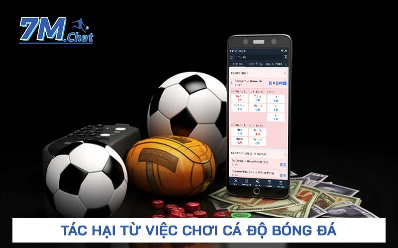 Tác hại từ việc chơi cá độ bóng đá